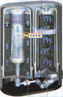 ゼンケン　スーパーアクア の浄水機能　ミネラル活水器 （　浄活水器　）
